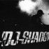 dj-shadow
